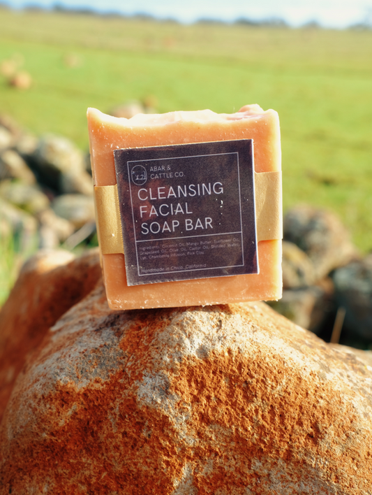 Cleansing Facial Soap Bar